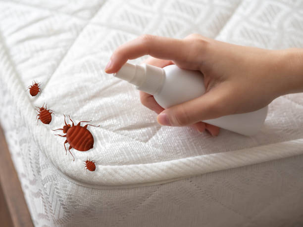 Best Affordable Pest Control Services  in Golf Manor, OH